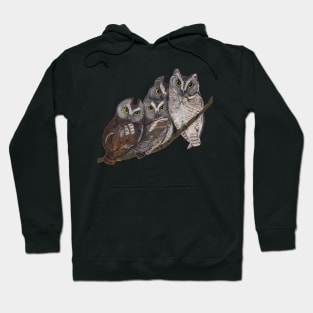 Baby Screech Owls Hoodie